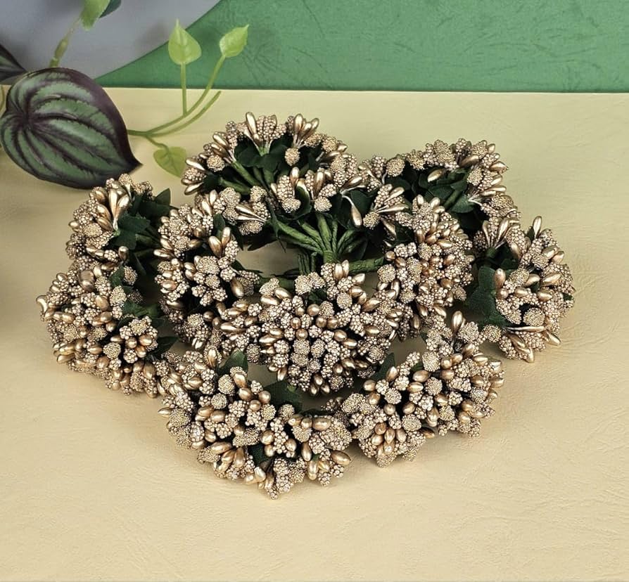 ostrich feather flower seeds