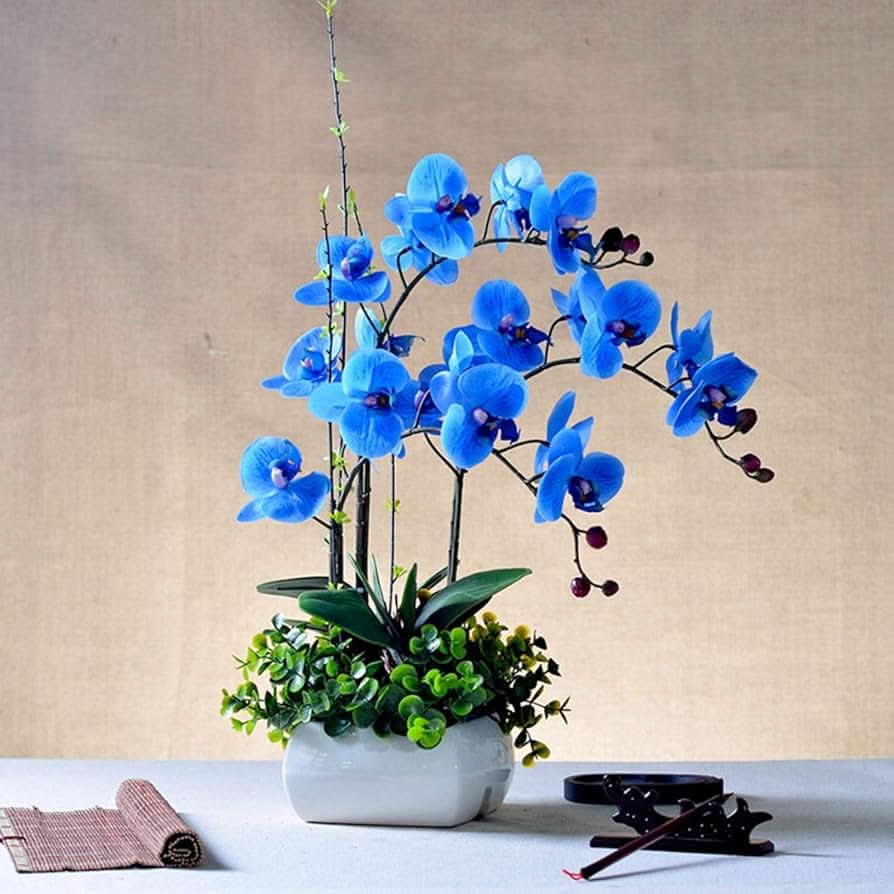 blue hydroponic flower seeds
