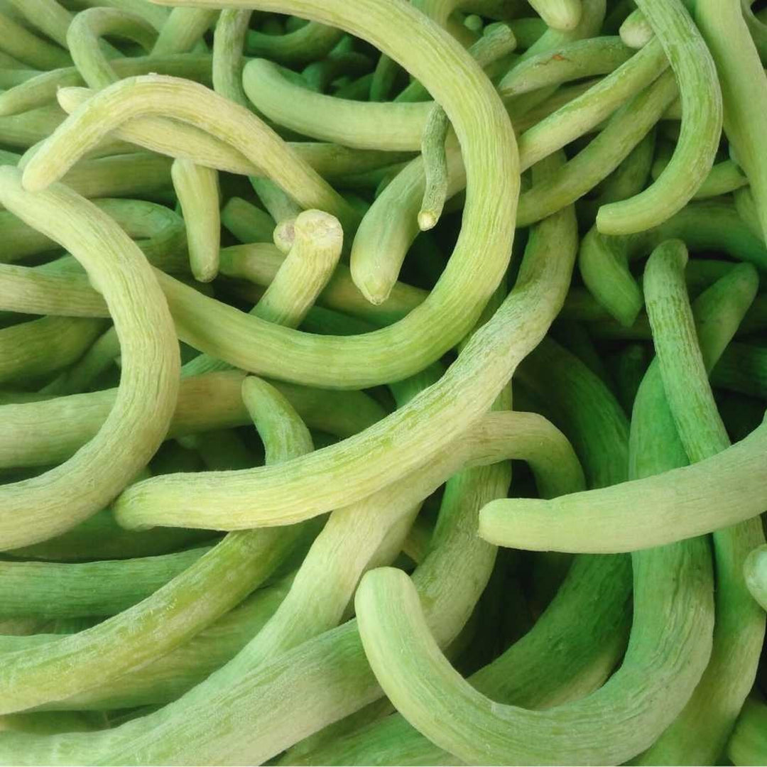 long cucumber flower seeds