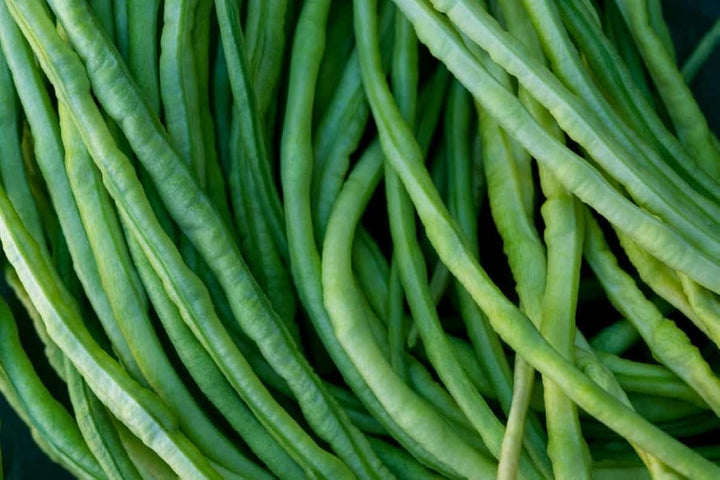 Asparagus Beans Cowpea Vegetable Seeds for Planting