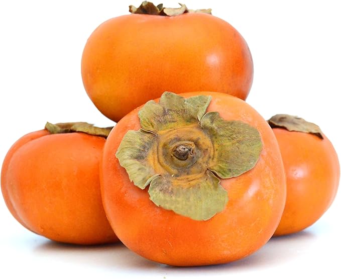 American Persimmons Fruit Tree Seeds for Planting - Sweet, Tangy Persimmons to Grow at Home