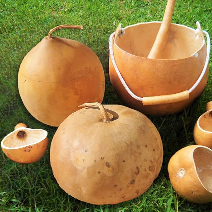 Heirloom Non-GMO Brown Bushel Gourd Vegetable Seeds for Planting | High Germination Organic Garden Seeds