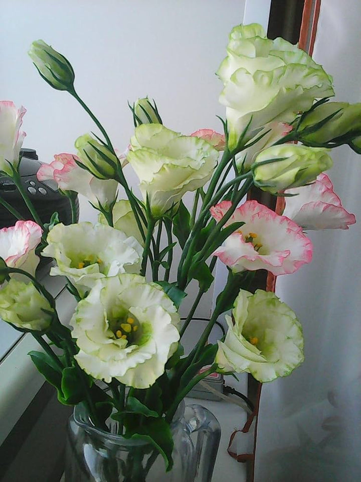 Yellow Lisianthus Flower Seeds for Planting - Heirloom, NON-GMO, Long-Lasting Blooms