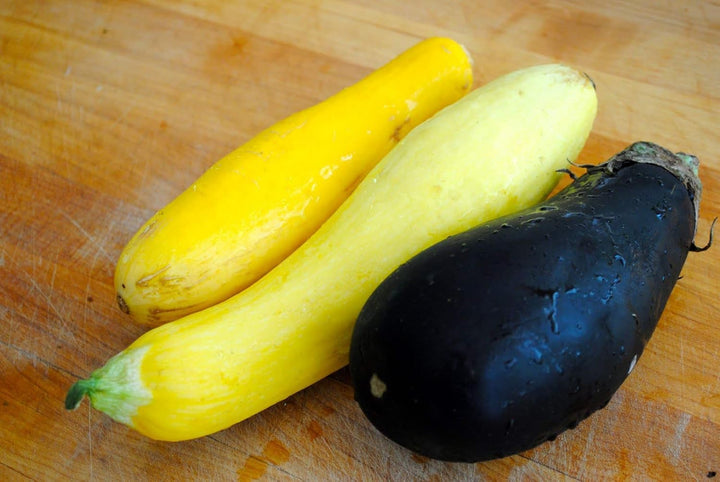 Violet and Yellow Eggplant Seeds for Planting