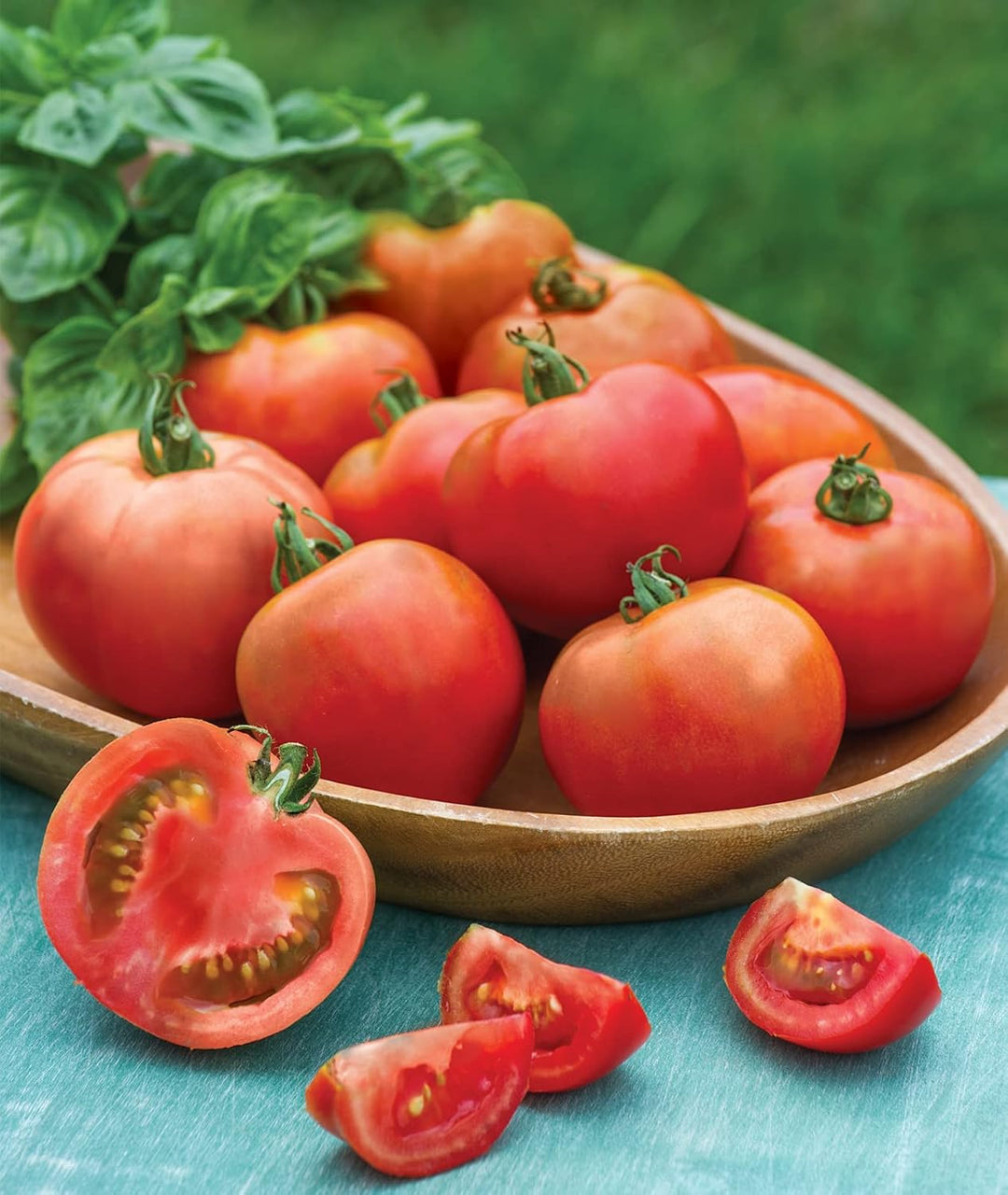 Burpee Celebrity Hybrid Red Tomato Seeds Heirloom Non-GMO vegetable seeds