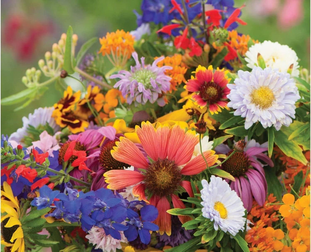 flower mix flower seeds
