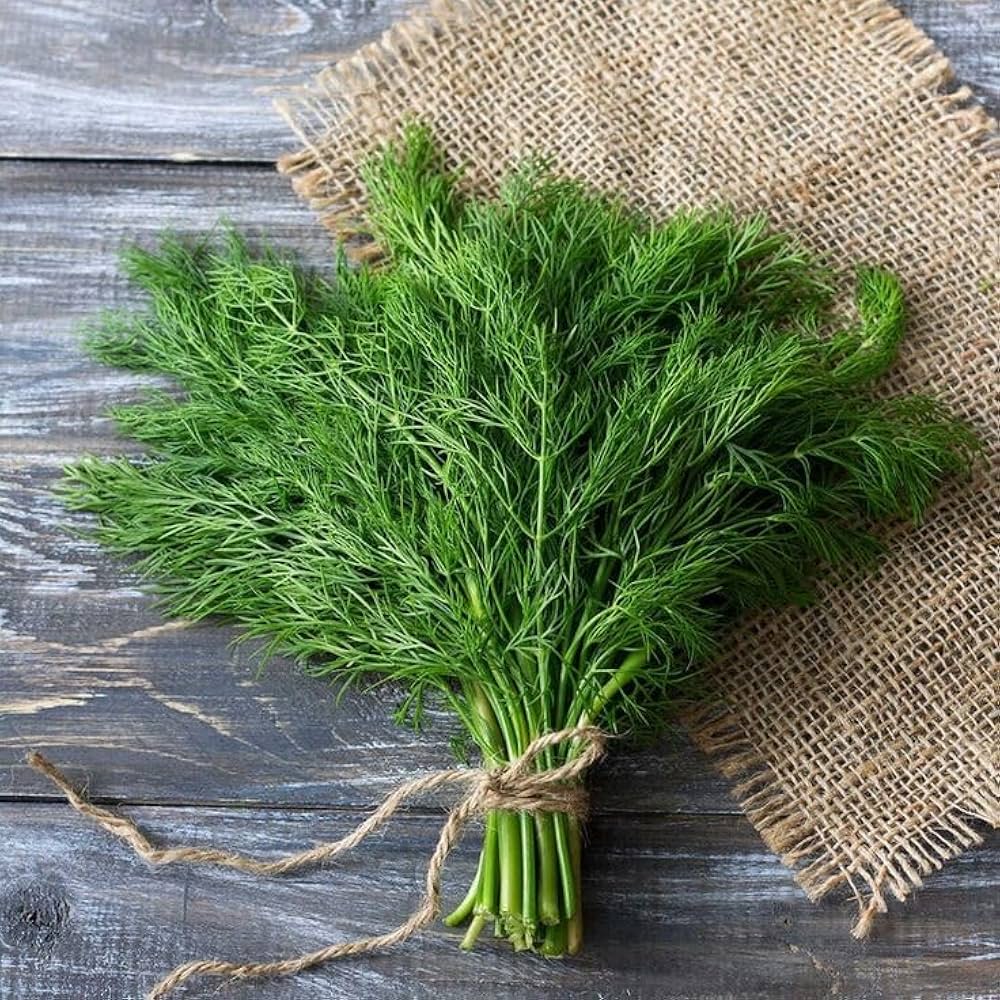 fragrant herb flower seeds