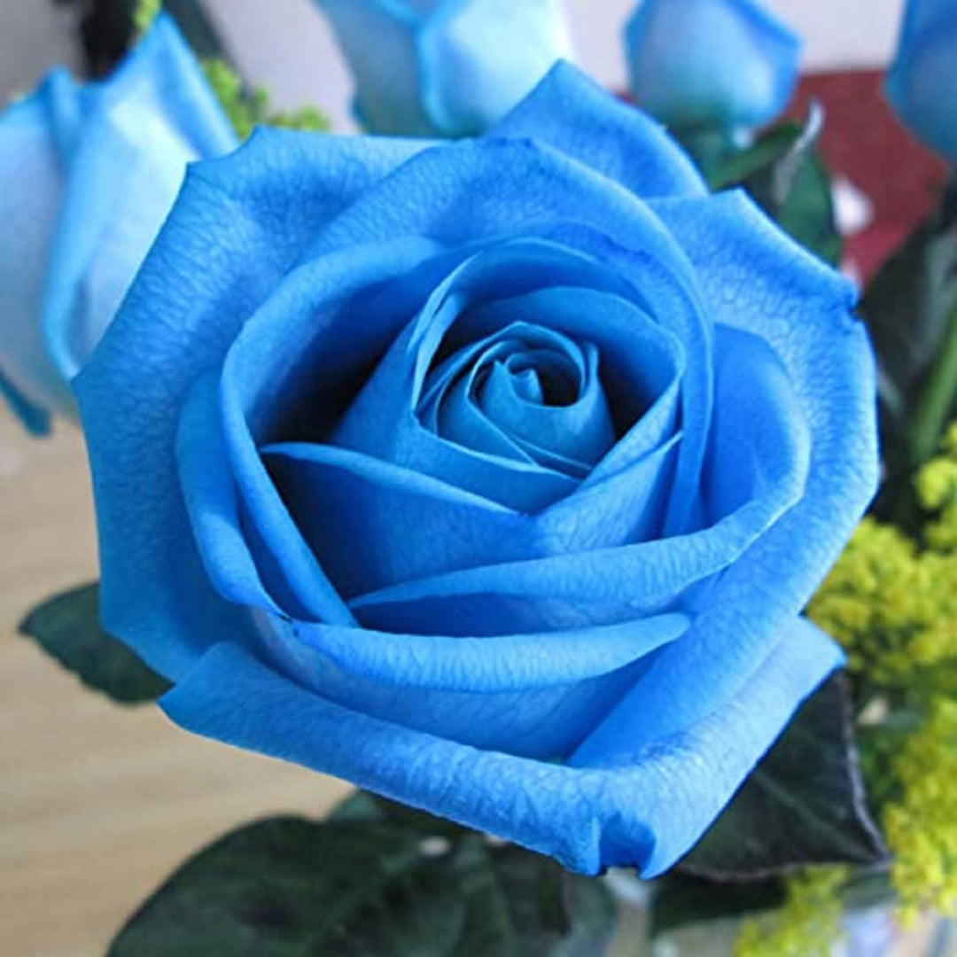 rare blau flower seeds