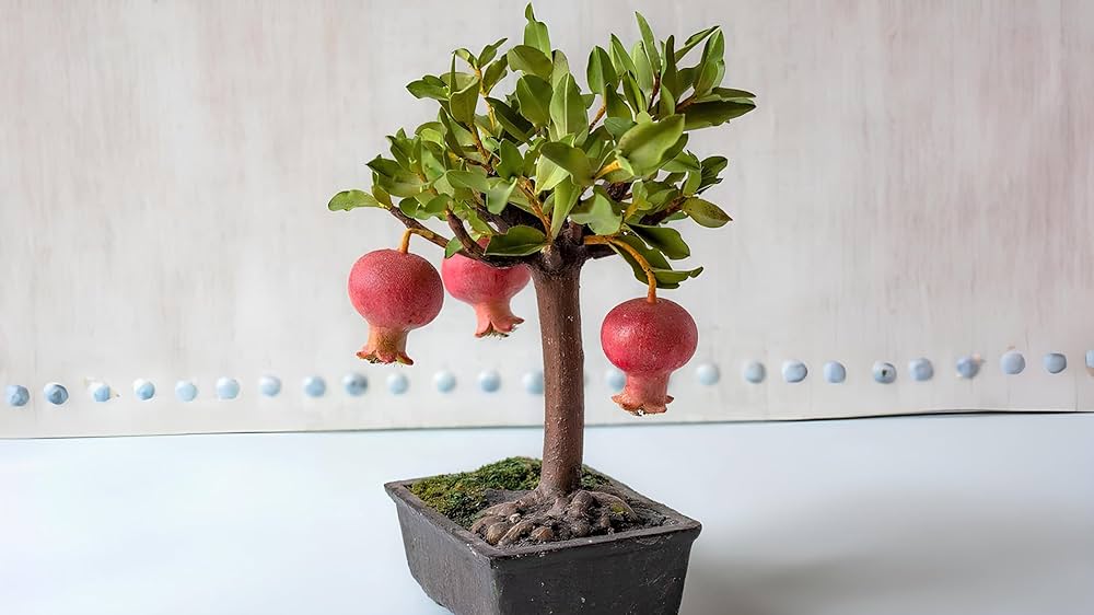 Miniature Bonsai Pomegranate Seeds - Beautiful Indoor Fruit Trees for Limited Spaces, Heirloom Seeds