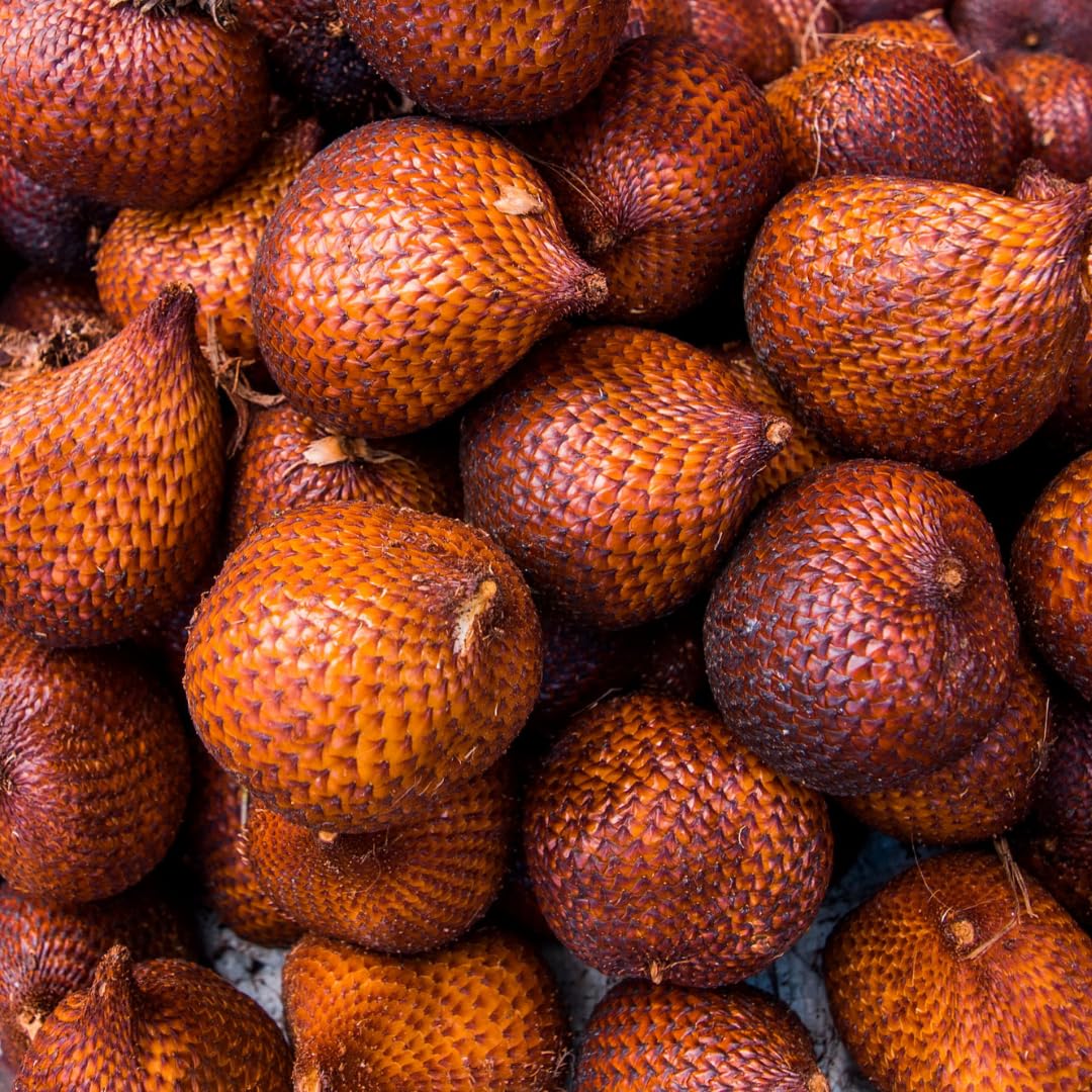 Salak frugtfrø til planlægning - eksotiske slangefrugtfrø til gartnere 100 stk.