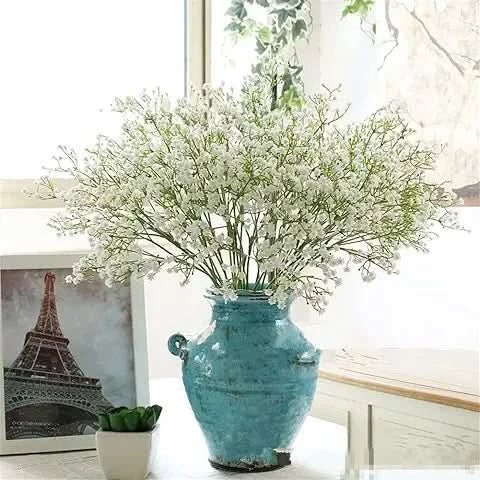gypsophila rainbow flower seeds