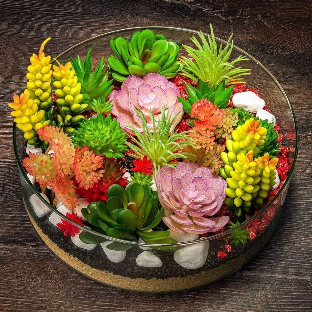 living stone flower seeds