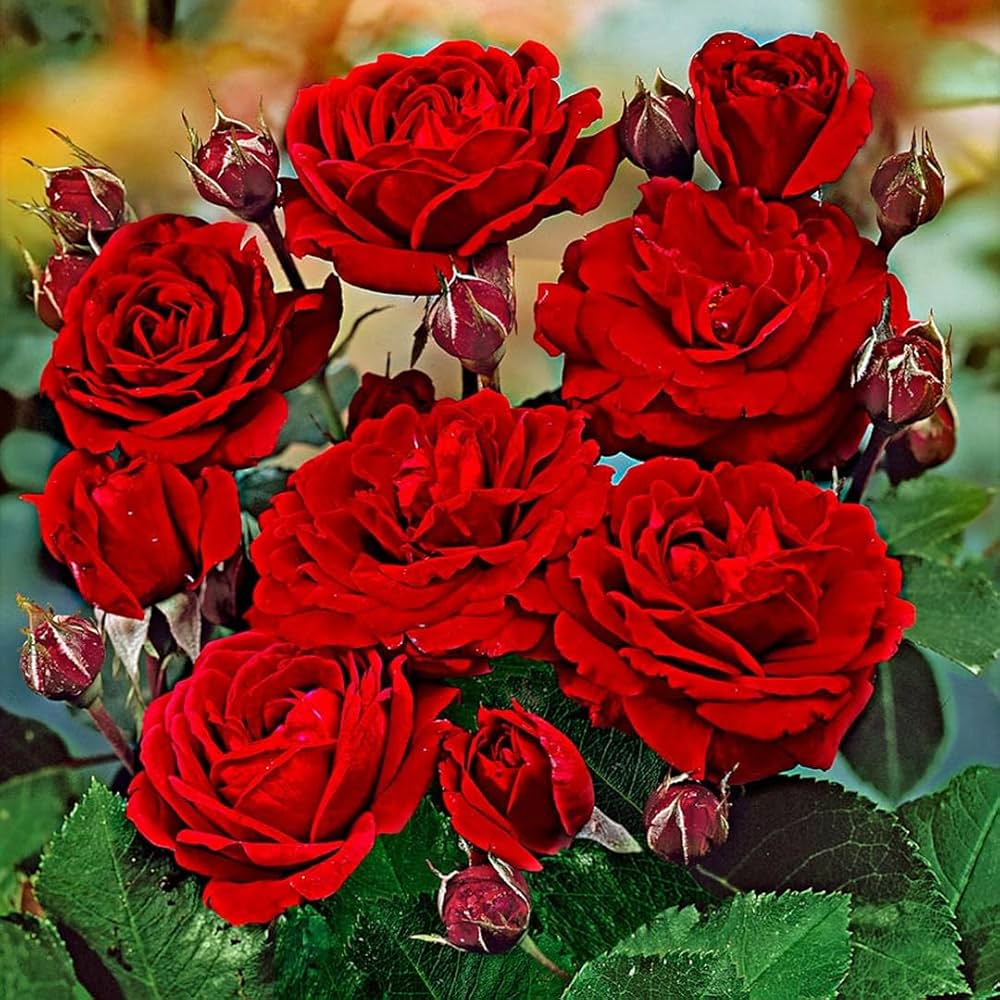 green rose flower seeds