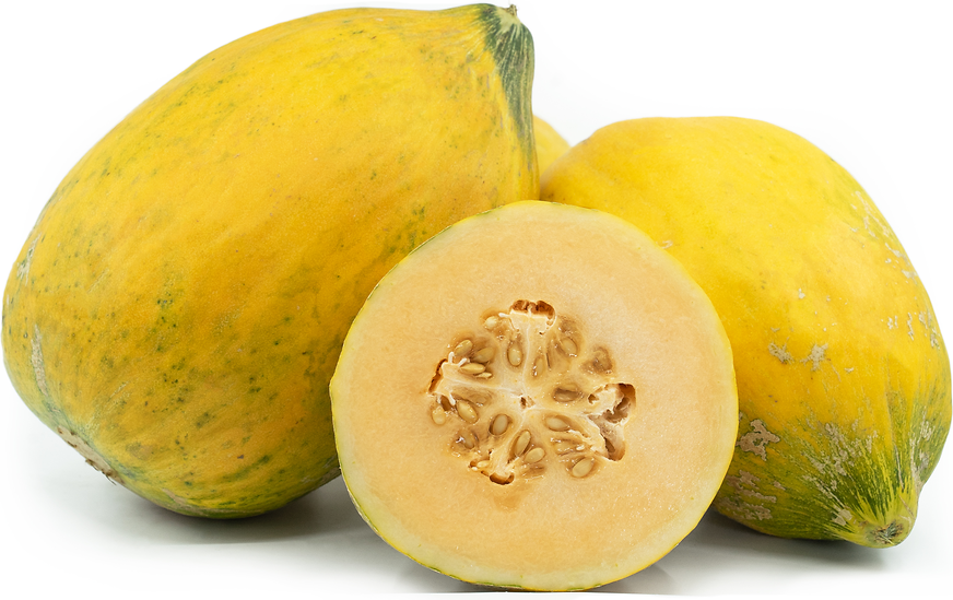 Orange Cantaloupe Melon Frugtfrø – Ideel til varme klimaer 100 stk