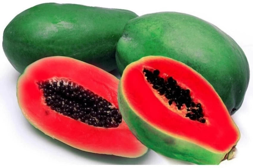 Red Caribbean Papaya Fruit Seeds for Planting- Sweet, Tropical Red Papayas for Backyard Planting