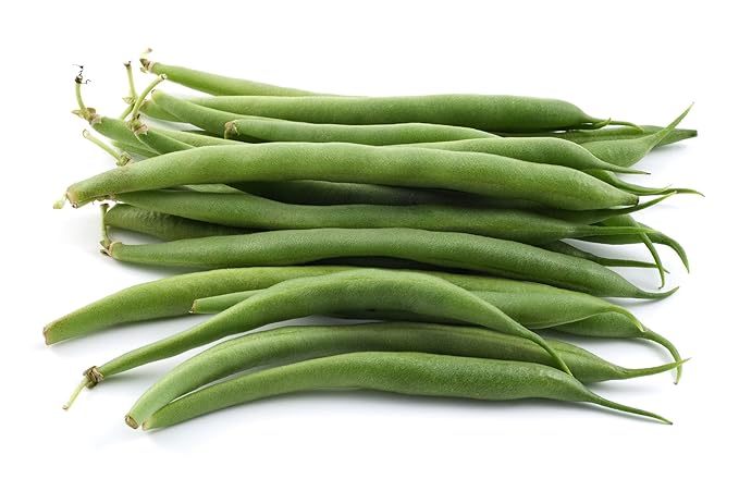 green bean flower seeds