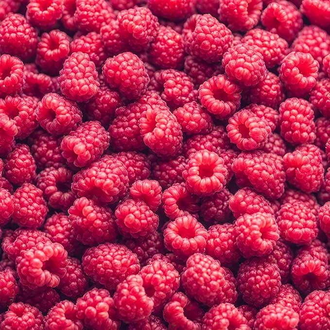 Raspberry Heritage Seeds – Heirloom, Non-GMO, High-Yield Fruit for Garden Planting