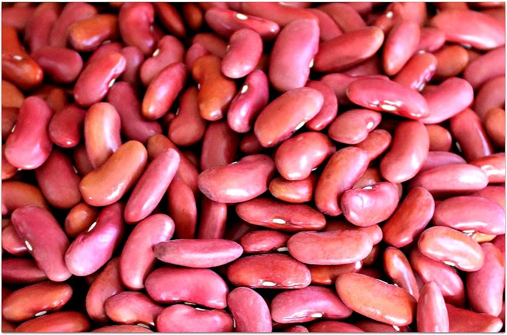 red heirloom flower seeds