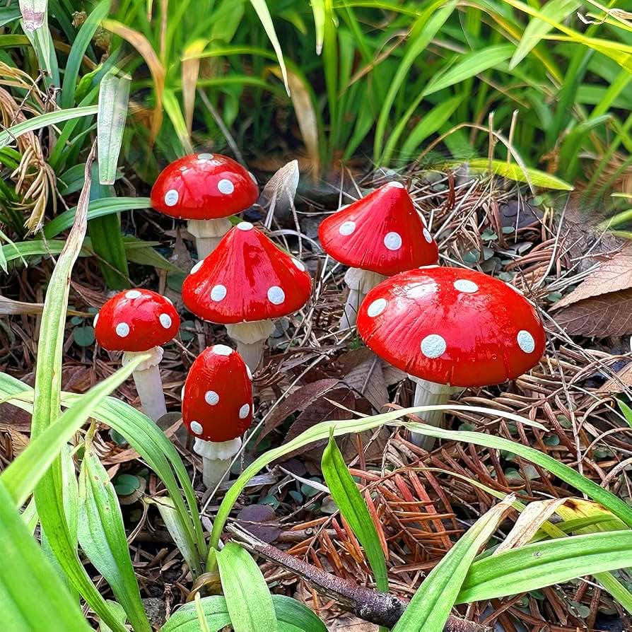 red mini flower seeds