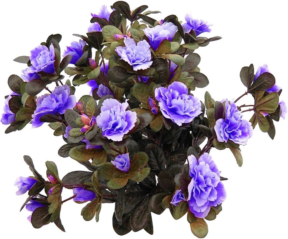 Japansk Rhododendron Azalea Blomsterfrø til udplantning-100 stk