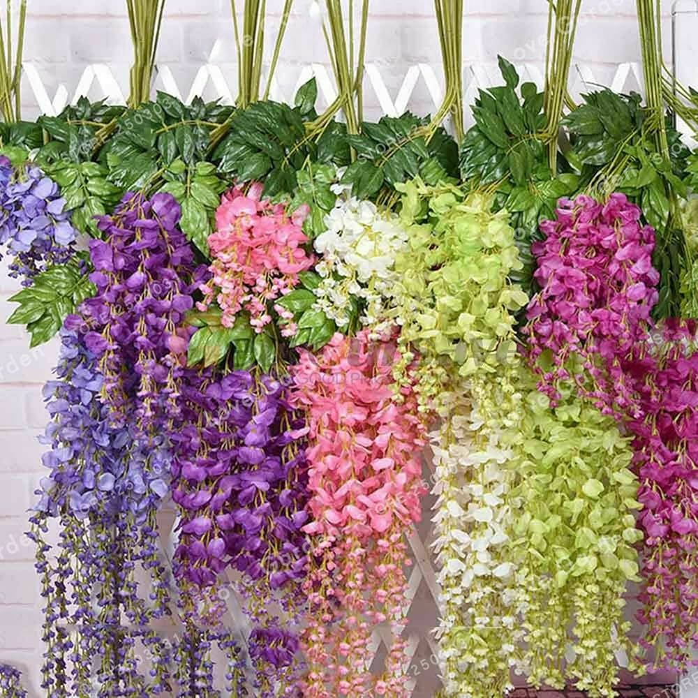 Mixed Wisteria Flower Seeds for Planting – Heirloom, Non-GMO Climbing Vine Seeds for Garden
