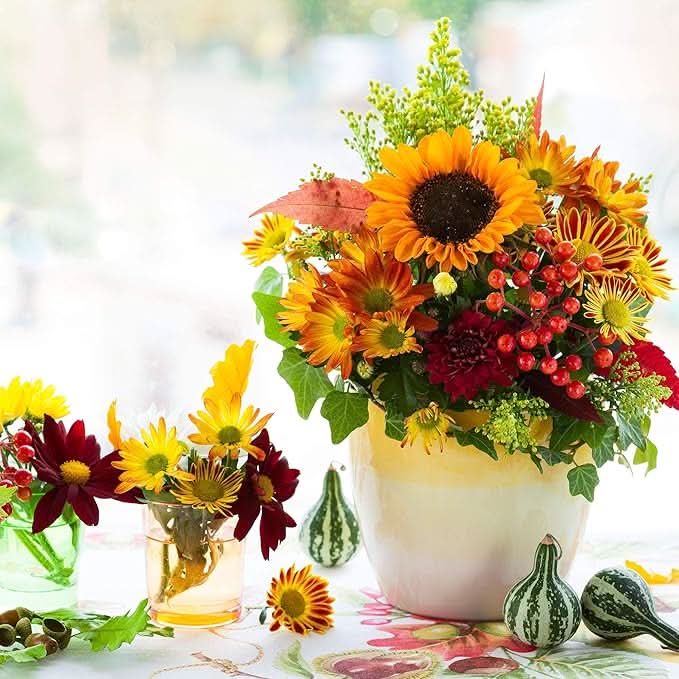 yellow marigold flower seeds