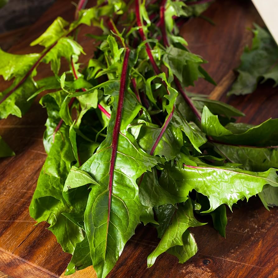 Garnet Stem Flower Seeds – Heirloom, Non-GMO, High Germination Organic Garden Seeds for Planting