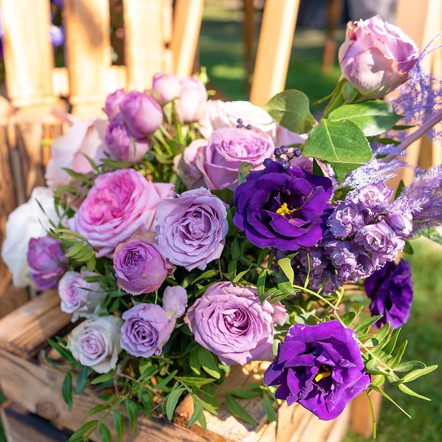 lisianthus eustoma flower seeds