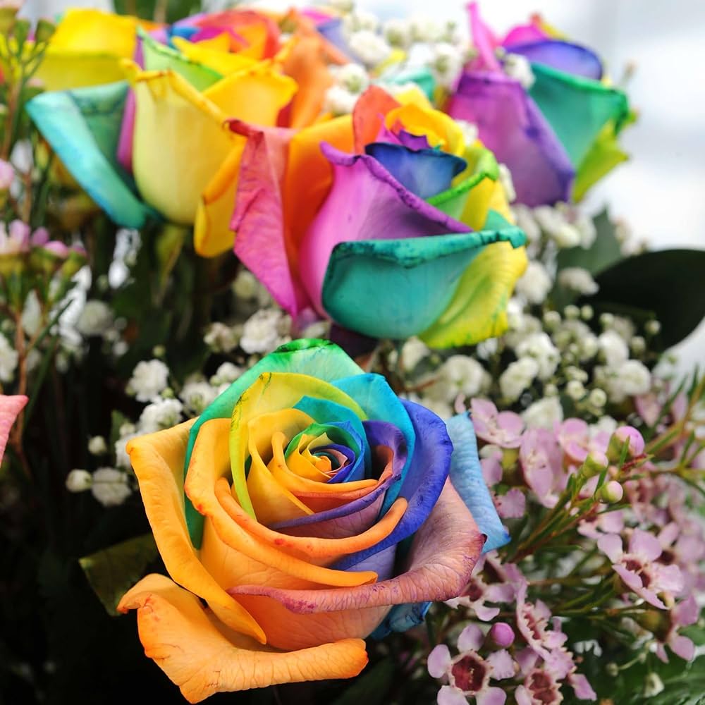 mystic rainbow flower seeds