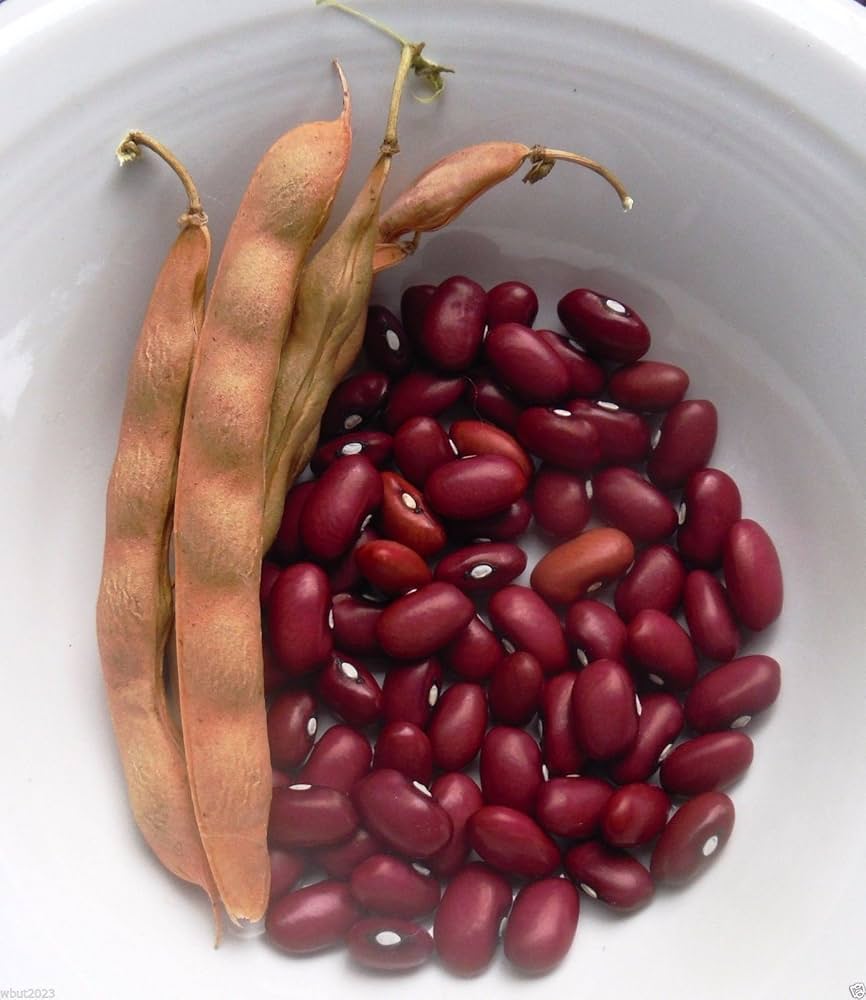 red heirloom flower seeds