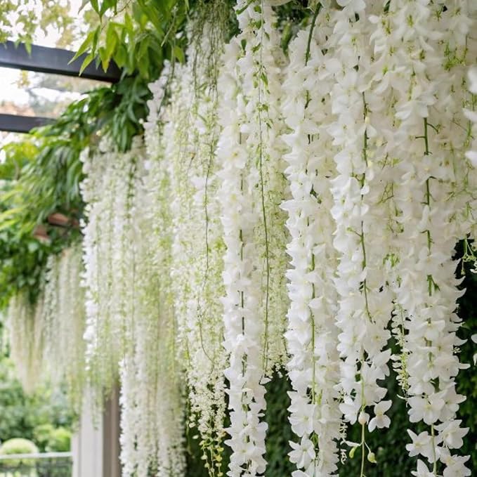 Climbing Weeping Jasmine Flower Seeds for Planting – Heirloom, Non-GMO, Fragrant Vine Seeds