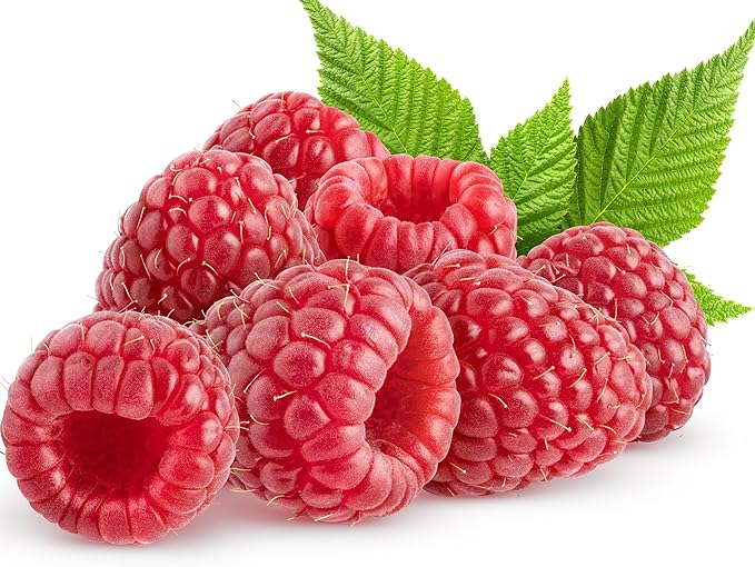Raspberry Heritage Seeds – Heirloom, Non-GMO, High-Yield Fruit for Garden Planting