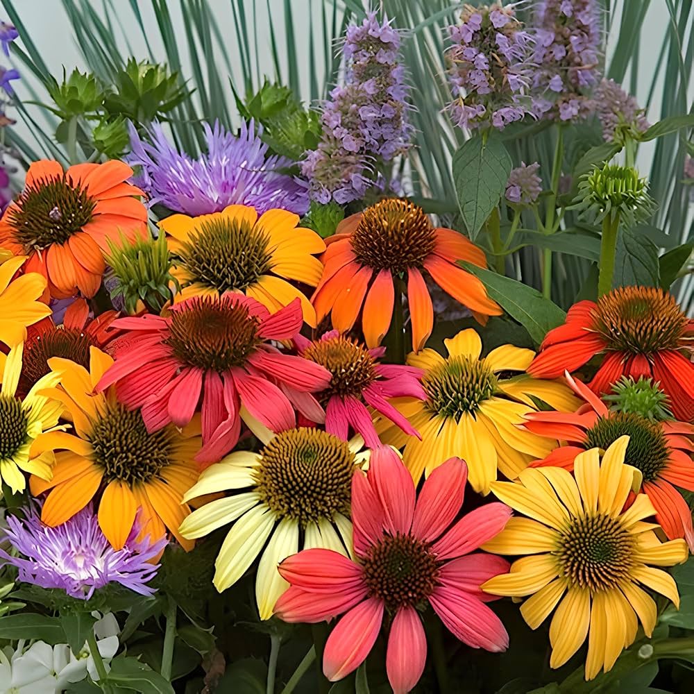 glowing dream flower seeds