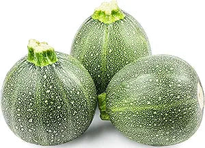 round zucchini flower seeds