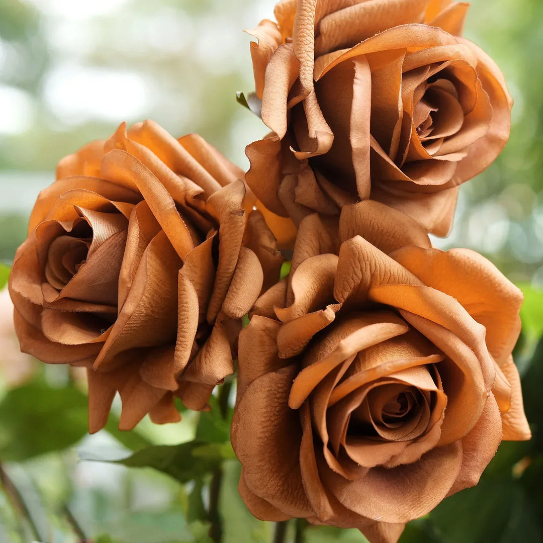 yellow rose flower seeds
