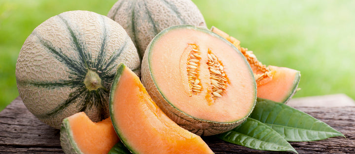 Cantaloupe Melon Frugtfrø til Plantning Grønne 100 stk