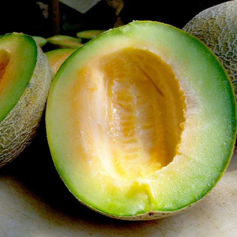 Ice-Cream Cantaloupe Fruit Seeds - Delicious, Smooth Cream Melons for Summer Gardens