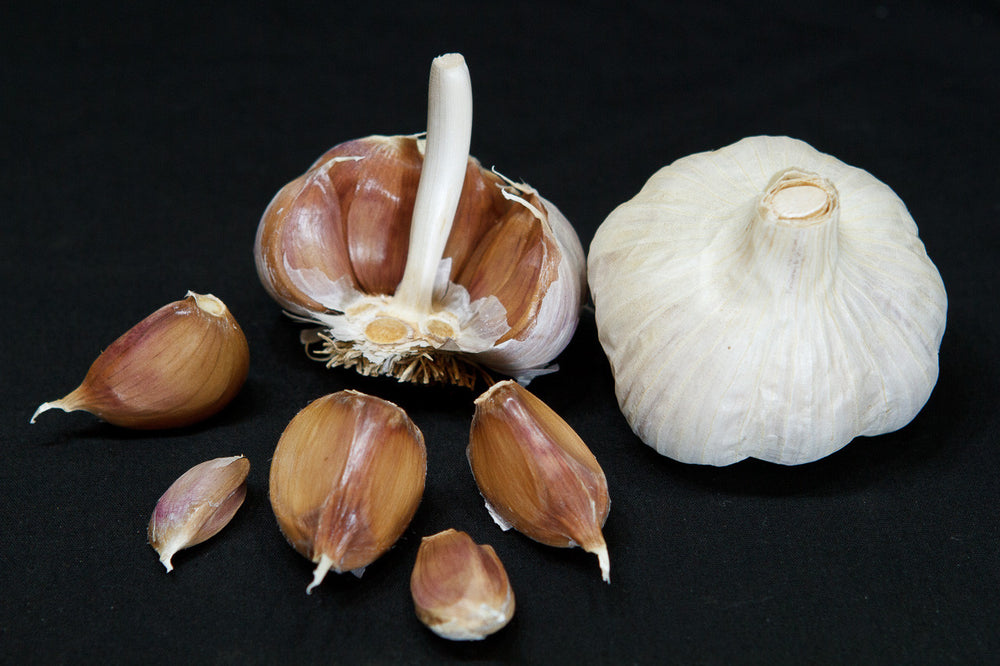 Brown Black Garlic Vegetable Seeds for Planting