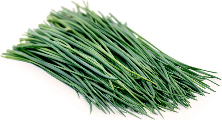 Chives Common Seeds for Planting – Heirloom, Non-GMO, Fast-Growing Herb
