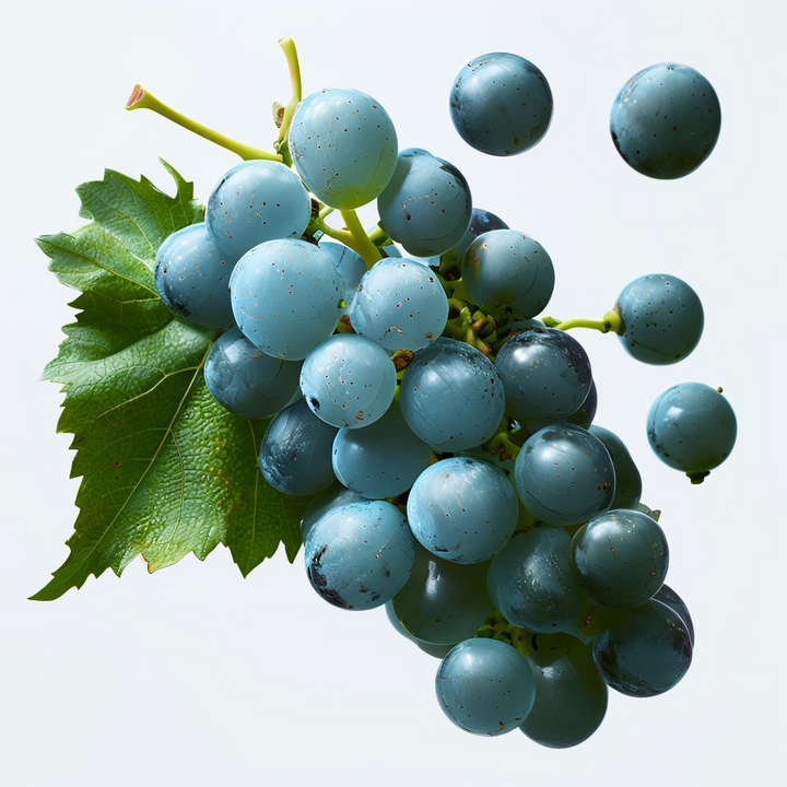 Heirloom Sky Blue Grape Fruit Seeds - Unique Grape Varieties for Your Garden, Ideal for Home Garden