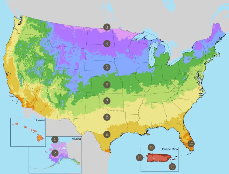 USDA Hardiness Zone Map