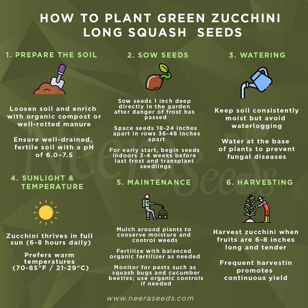 best way to plant zucchini seeds Green Round Zucchini Squash Seeds for Planting – Heirloom, Non-GMO, Hi – Neeraseeds