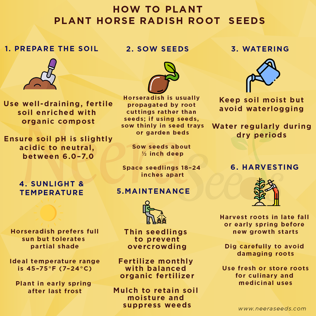 Horseradish Root Seeds for Planting – Heirloom, Non-GMO Perennial Vegetable for Culinary & Medicinal Use