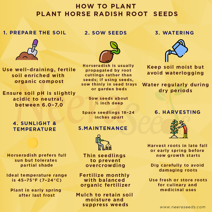 Horseradish Root Seeds for Planting – Heirloom, Non-GMO Perennial Vegetable for Culinary & Medicinal Use
