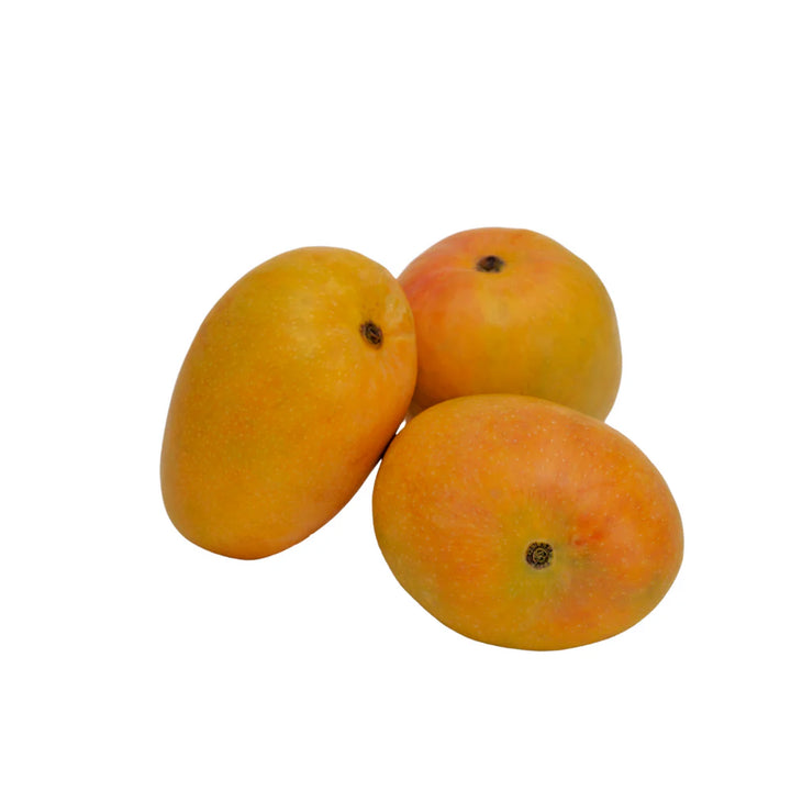 Alphonso Mango Fruit Seeds – Heirloom Hapus Variety, Sweet Tropical Mangoes for Garden Planting