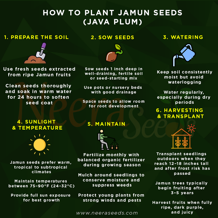 Jamun Seeds (Java Plum) – Fast-Growing Tropical Fruit Seeds for Garden Planting