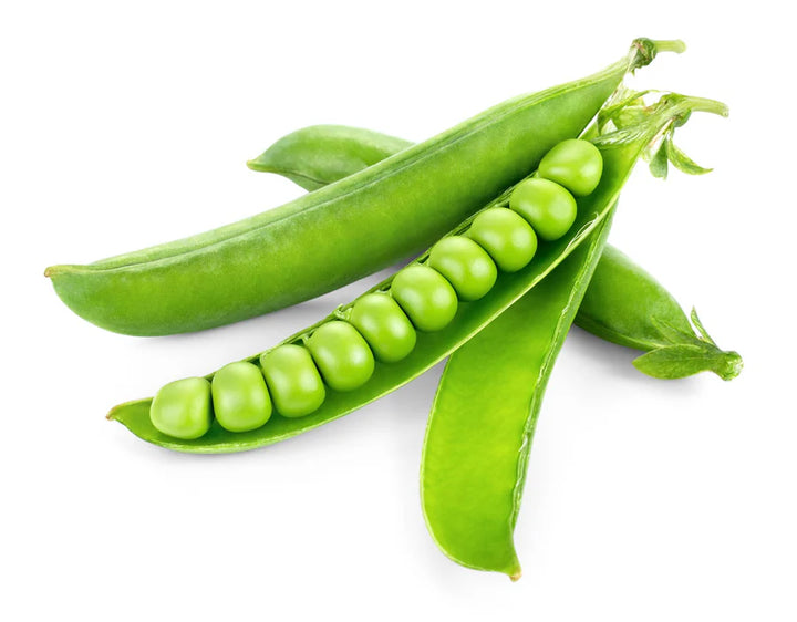 Green Peas (Winter Variety) Seeds for Planting – Cold-Resistant, Heirloom Vegetable Seeds for Cool Season Gardening