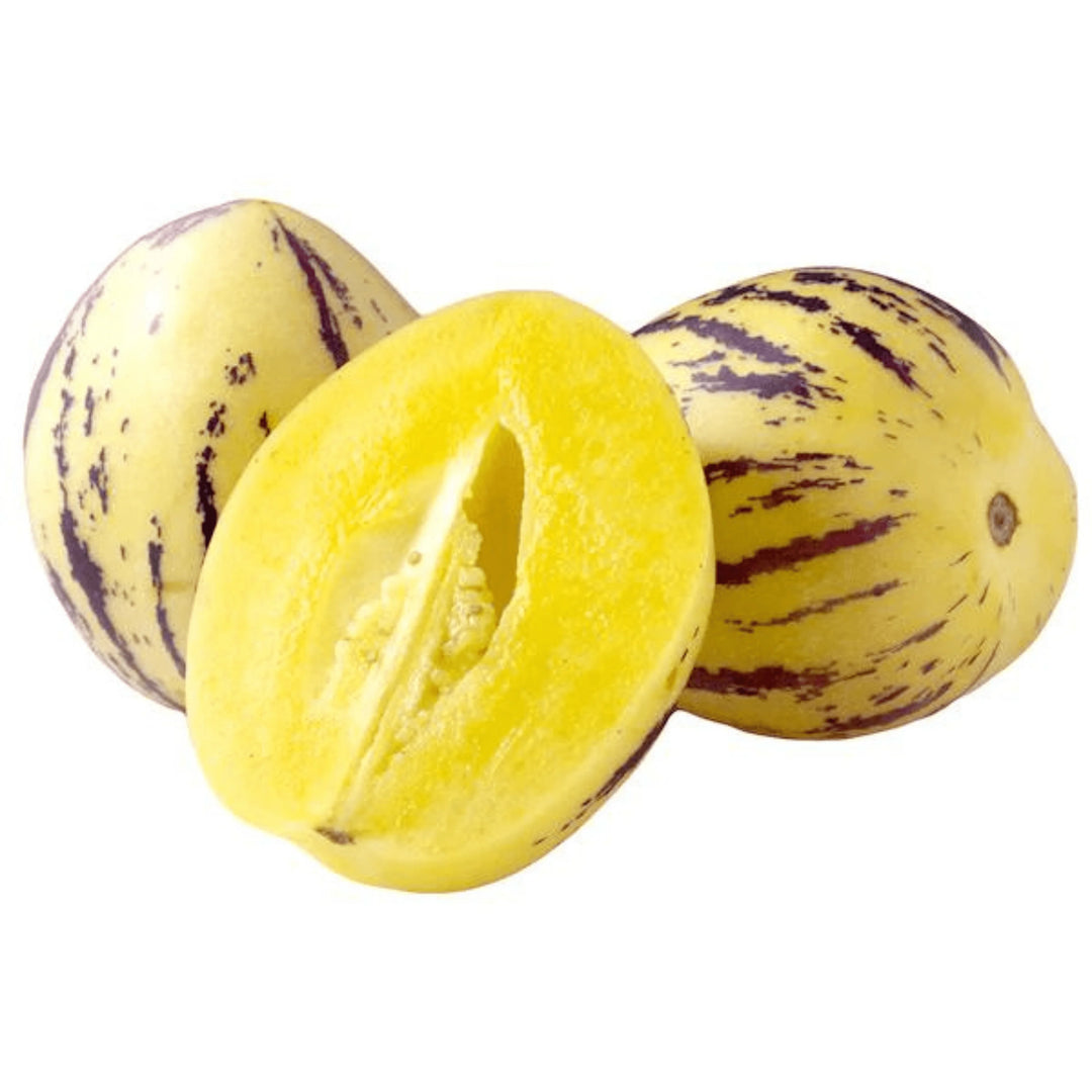 Pepino Melon Fruit Seeds for  Planting - Sweet Tropical Treats, Heirloom and GMO Free Seeds for your Home Garden