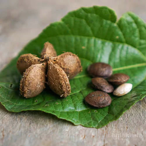 Sacha Inchi (Mountain Peanut) Plantefrø - Superfood, Ikke-GMO, Økologisk 100 stk.