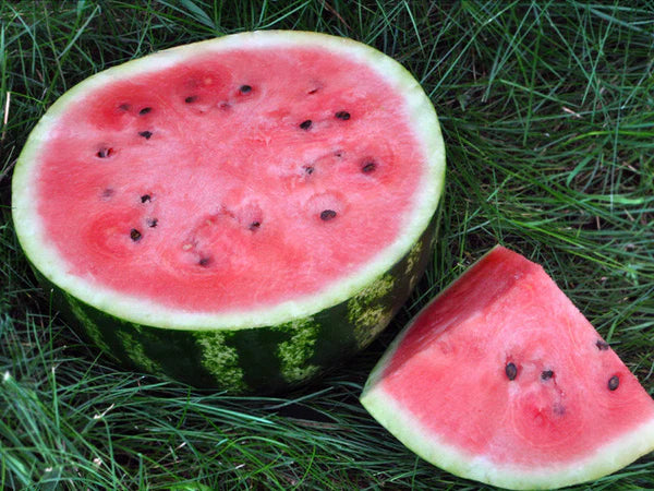 Orange vandmelonfrugtfrø - 20 stk, sommergodt til din baghave 100 stk.